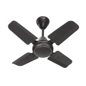 Discovery Ceiling Fan