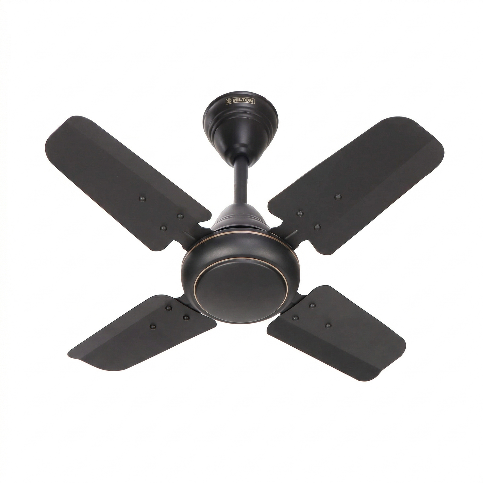 Discovery Ceiling Fan
